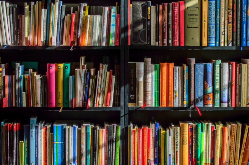 ecommerce-ROUBION-min_books_bookstore_book_reading_shop_writer_sale_books_read-822866
